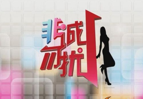 非诚勿扰侵权案败诉 节目原名竟是一家个人婚介所